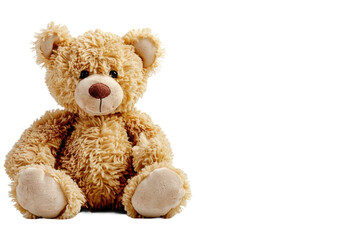 Cute Teddy Bear Isolated On Transparent Background
