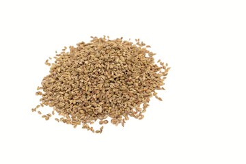 Ajwain Seeds or Ajowan Isolate on White Background with Copy Space. Also Known as Thymol Seeds or Ajowan Caraway