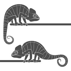 Set of black and white illustrations with chameleon. Isolated vector object on white background. - 752171713