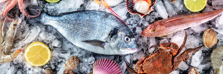 Seafood panorama. Fresh fish and sea food on ice, overhead flat lay panoramic banner on a black background, with lemons and limes