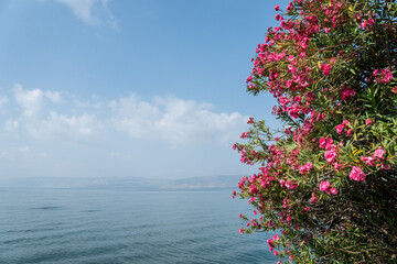 Lake Galilee in Israel