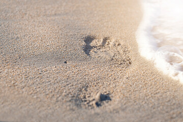 Footprint with golden sand. Beach, wave and footstep on sunny day