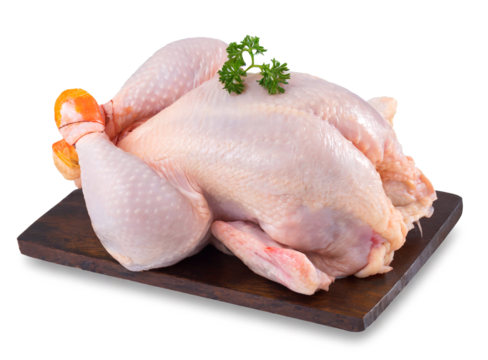 Raw whole chicken on cutting board isolated on white background