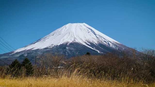 Mount Fuji during the blue sky day hits the mountains and grass field on foreground, a landmark and destination for tourists and travelers. The beauty of nature in the peaceful with slowly wind winter