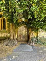 Fairytale wooden door embraced by two trunks and spreading roots of yew trees