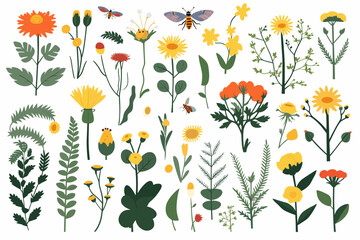 Wild spring flowers vector collection. herbs, herbaceous flowering plants, butterflies, bugs, blooming flowers, subshrubs isolated on white background. Detailed botanical vector illustration.