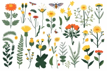 Stof per meter Wild spring flowers vector collection. herbs, herbaceous flowering plants, butterflies, bugs, blooming flowers, subshrubs isolated on white background. Detailed botanical vector illustration. © The Illustraitor