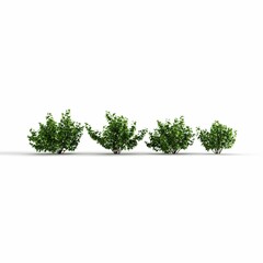 Obraz premium Realistic 3D render of a cluster of young trees adorned with lush green foliage