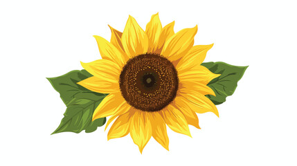 Sunflower isolated on white background. Vector illustartion