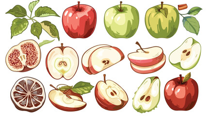 Vector illustration with apple in cross section
