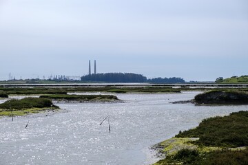 Scenic landscape of Elkhorn Slough Reserve, CA, USA