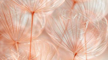 Vintage effect  Copper abstract dandelion flower background