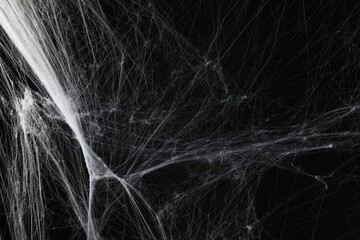 Creepy white spider web on black background - Powered by Adobe