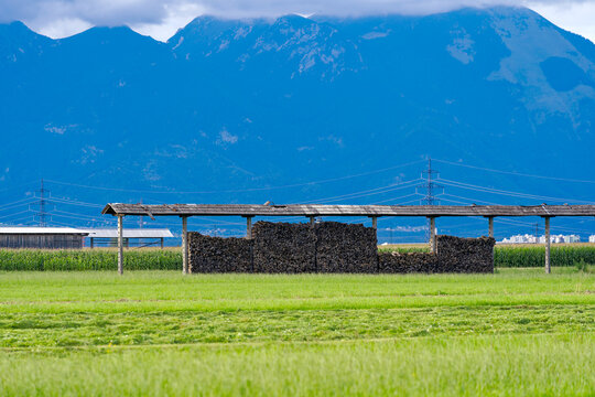 Wrecked hayrack at farmland at village of Zabnica with stapled firewood on a blue cloudy summer evening. Photo taken August 10th, 2023, Zabnica, Kranj, Slovenia.