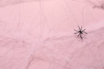 Cobweb and spider on pink background, top view