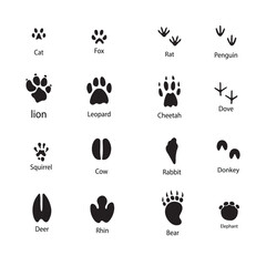 Animals footprints, paw prints. Set of different animals and birds footprints and traces. Cat, lion, tiger, bear, dog, cow, pig, chicken, elephant, horse etc