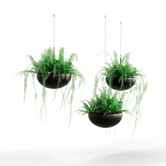 3D render of planters with cascading plants on a white background