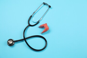 Endocrinology. Stethoscope and model of thyroid gland on light blue background, top view. Space for...