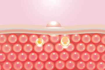 Provides nutrition to the skin to keep it moist and healthy