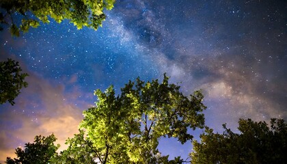 A beautiful night sky with stars, trees, Milky Way galaxy