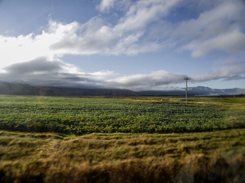 Farms on the road to Milford Sound
