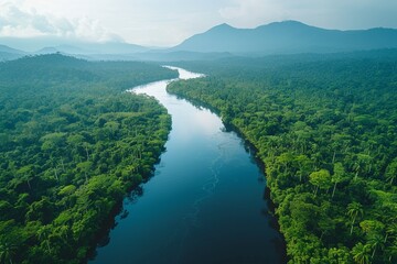 From a bird's eye view, the lush greenery of the Rainforest surrounds a winding river, a breathtaking sight.