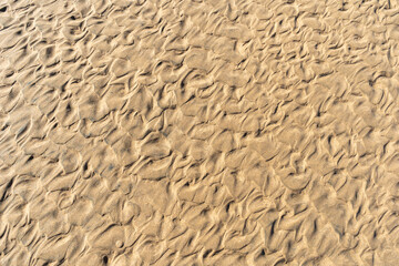 Sand Texture Background, Sandy Beach Pattern, Beige Ocean Dune Wallpaper, Wet Beach