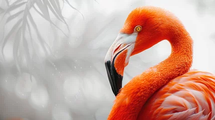 Fotobehang flamingo on white background © Vladislav