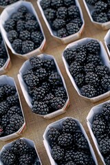 Fresh blackberries in a paper box. Fresh organic blackberries being sold on a stall at a farmers market