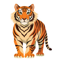 Tiger illustration on White Background