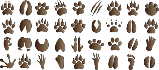 Animal paw print collection © Arafat