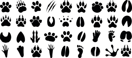 animal paw print Vector illustration of diverse animal and human tracks, ideal for educational content, wildlife projects. Clear, black paw silhouette on a white background © Arafat