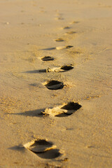 Fototapeta na wymiar 砂浜に残るひとりの足跡,縦構図