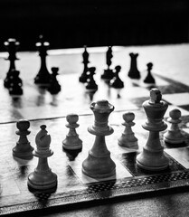 White Pieces Of A Chess Set