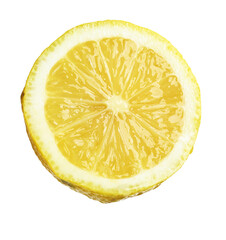 Lemon slice isolated on white. Citrus fruit