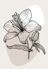 Minimalistisches Lilien Wandbild | Abstraktes Lilienblüte Poster | Boho Lineart