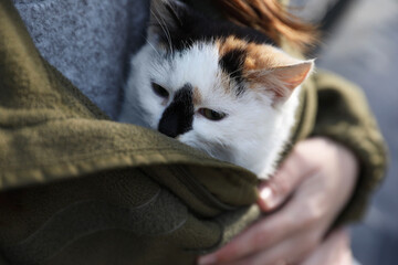 Soldier in uniform warming little stray cat, closeup