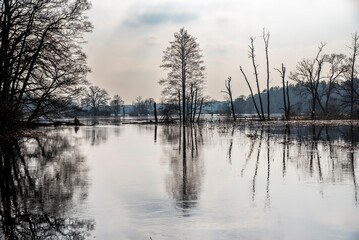 Flooded forests and fields, flooding in the natural landscape.