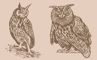 Graphical vintage collection of owls, vector night birds