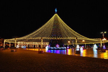 New Year, spruce, snowman, dragon