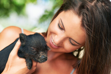 Woman, pig and happiness for volunteer, charity organization and rescue center. Welfare, smile and...