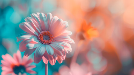 Vibrant gerbera flower against a blurred warm background.
