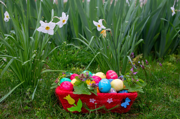 easter eggs in the grass