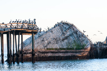 Close-up of the SS Palo Alto, an old World War II shipwreck around sunset, off the coast of Aptos,...