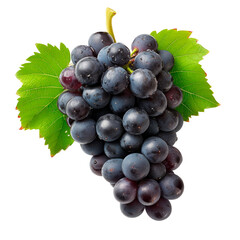 A bunch of grapes with a leaf on top Isolated on transparent background, PNG