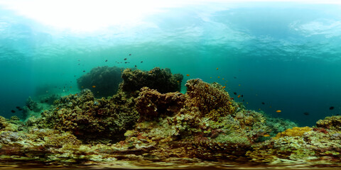 Underwater life scene. Colorful tropical fish and corals. Equirectangular panoramic.