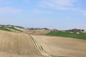 Fototapeta na wymiar beautiful landscape in the countryside with plowed fields and blue sky