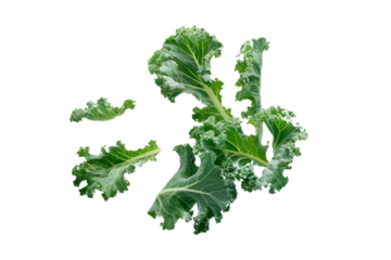 The cabbage leaves float gracefully, highlighting the leafy green texture.