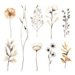 Set of watercolor dry flowers on white background. Generative AI