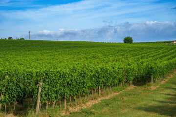 Fototapeta na wymiar Rural landscape near Foligno and Montefalco, Umbria, Italy, at summer
